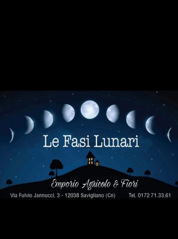 LE FASI LUNARI DI CORDERO SILVIA